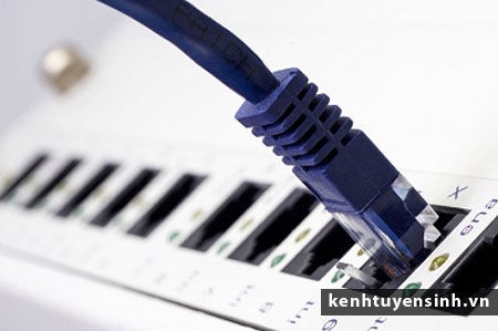 Chuyên viên phần cứng mạng